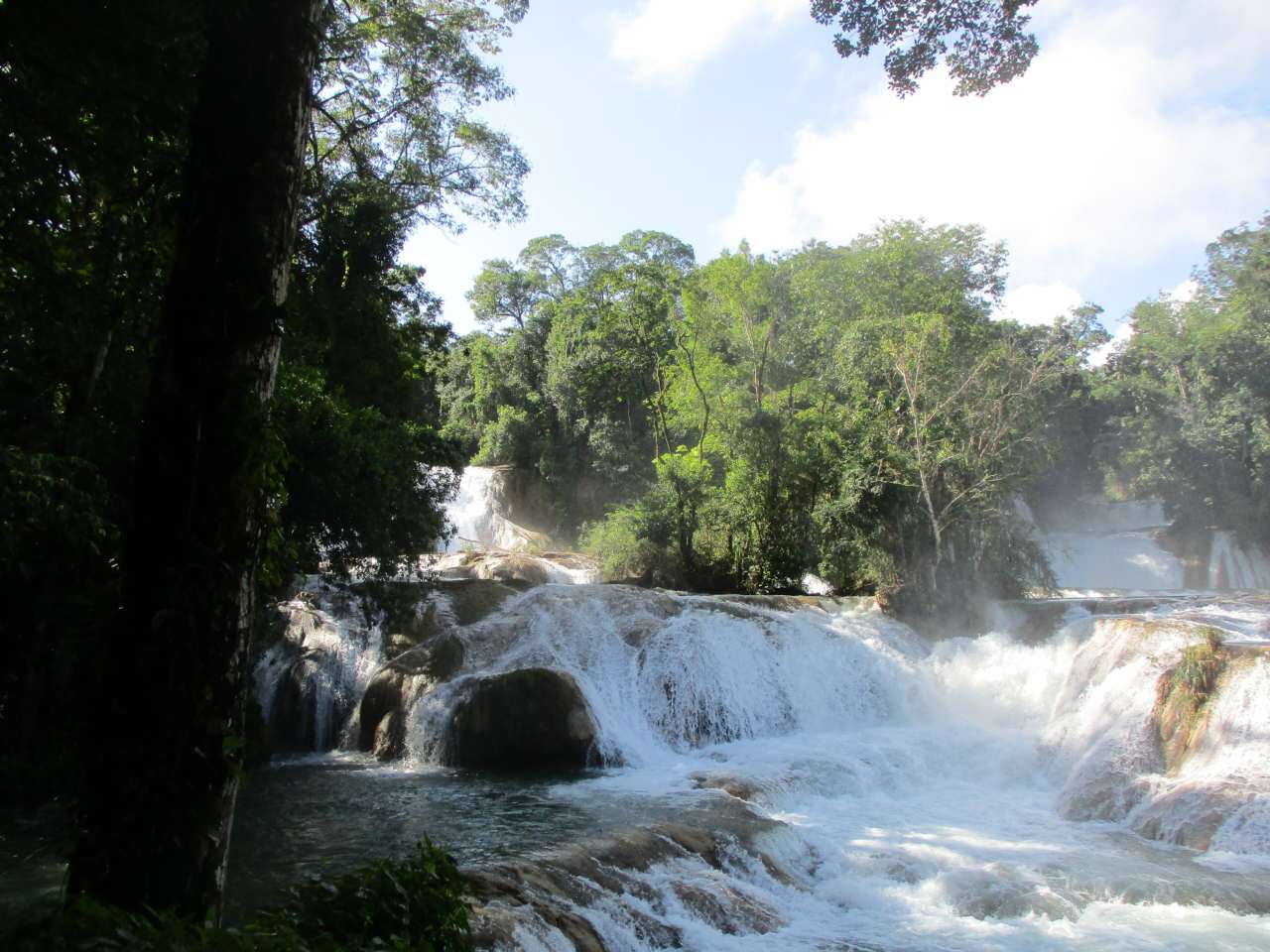 Cascadas de Agua Azul