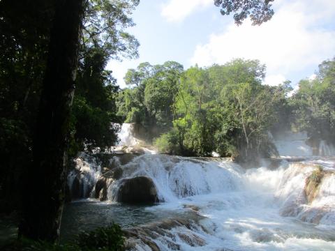 Cascadas de Agua Azul