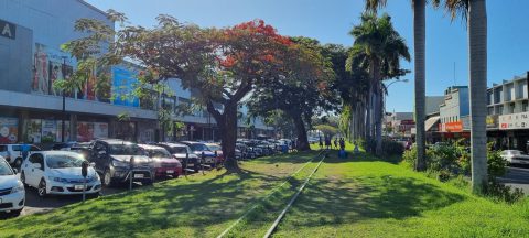 Lautoka