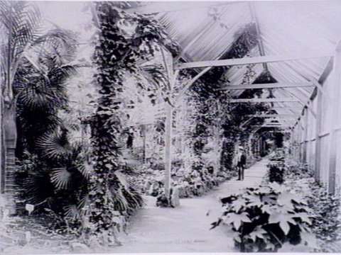 Geelong Botanic Gardens