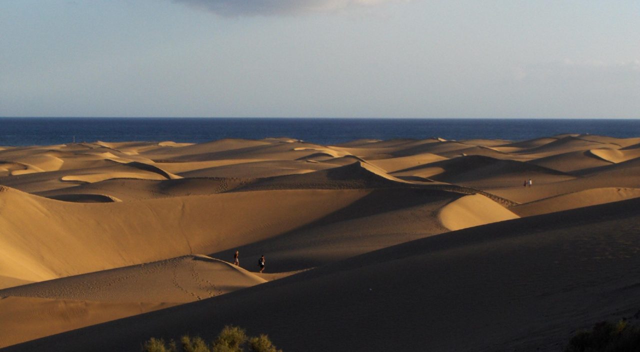 Sand Dunes