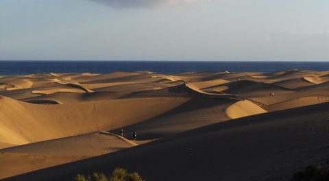 Sand Dunes