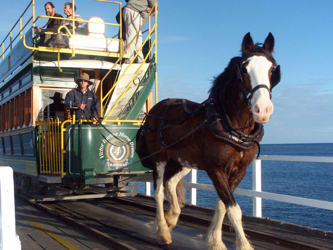 Victor Harbor Horse Drawn Tram