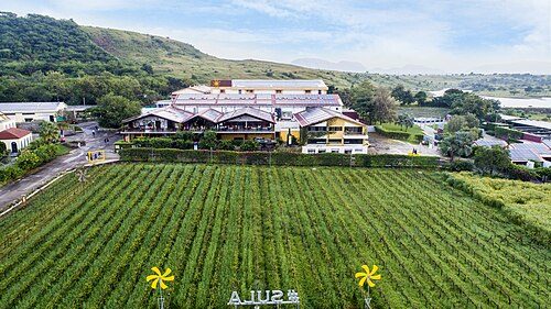 Sula Vineyards