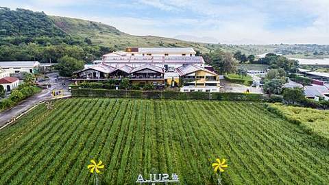 Sula Vineyards