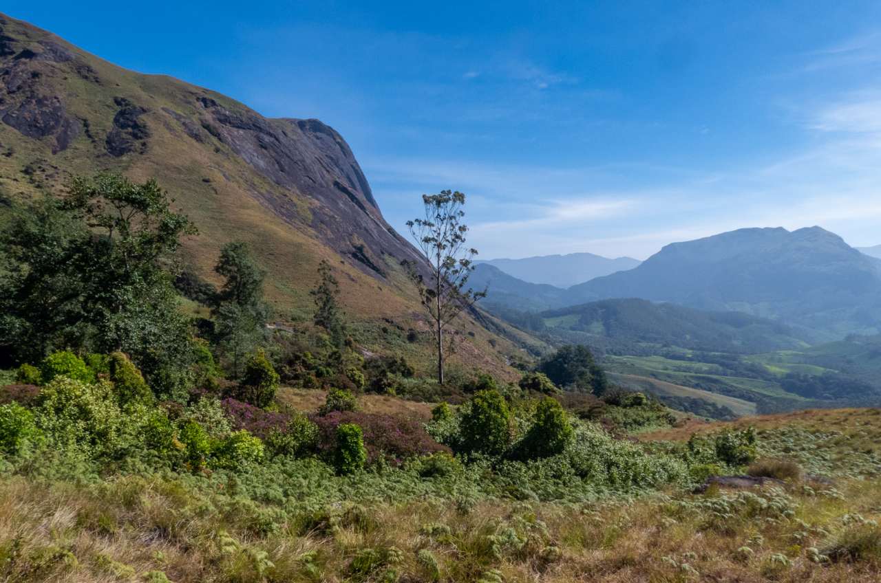 Eravikulam National Park