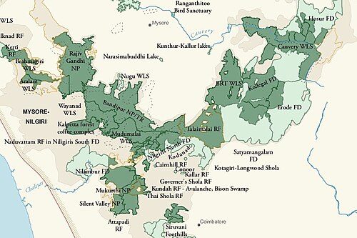 Wayanad Wildlife Sanctuary