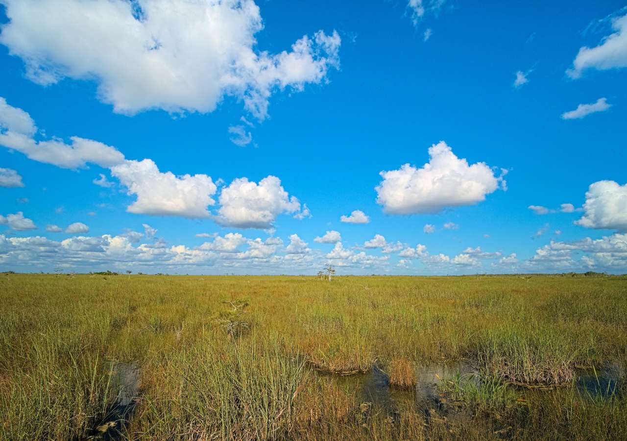 History - Everglades
