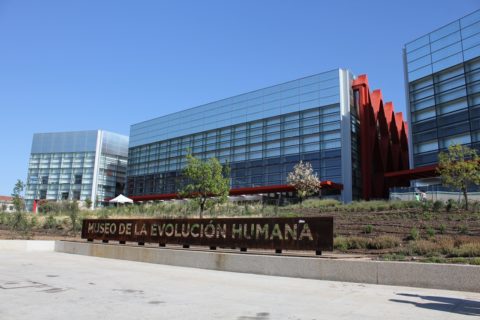 Museum of Human Evolution