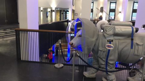 Planetarium Hamburg