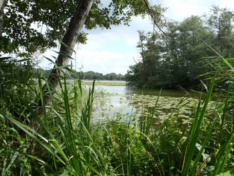 Lyngby Lake