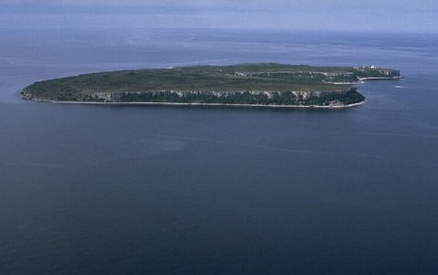 Stora Karlsö