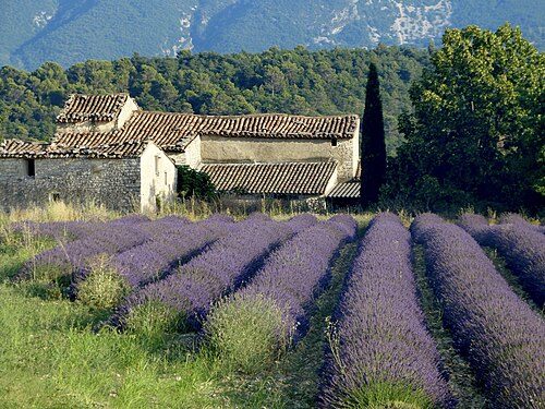 Paysage provençal