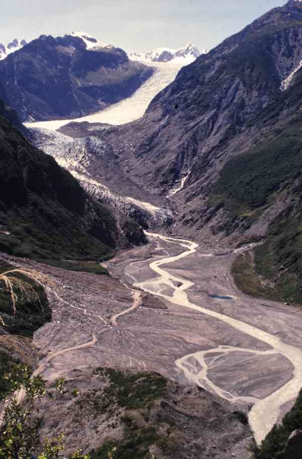 Fox Glacier