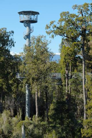 West Coast Treetop Walk