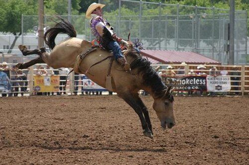 Local traditions - South Dakota