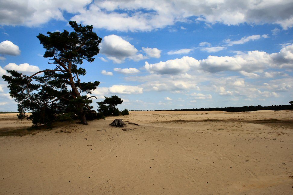 History - Hoge Veluwe