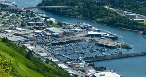 Kodiak