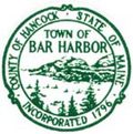 Meet the locals: playful harbor seals