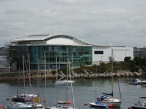 Local traditions - Plymouth