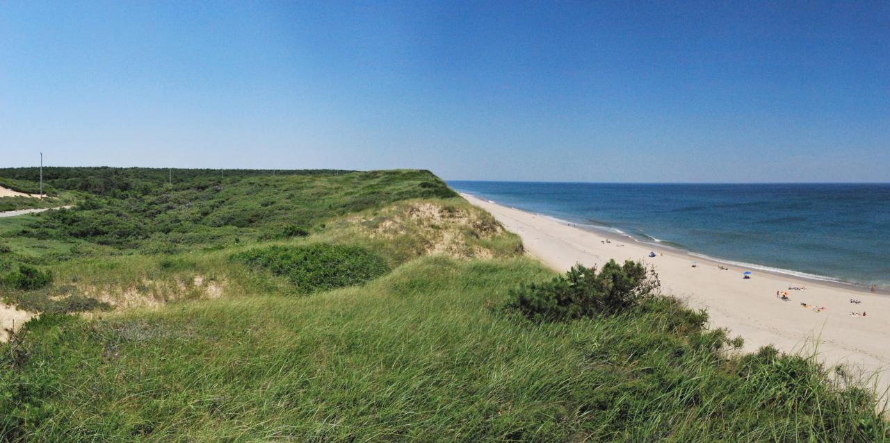History - Cape Cod