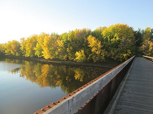 Nature's embrace along the Nashwaak River