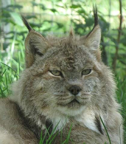 Pocatello Zoo