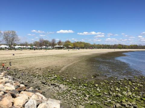 Calf Pasture Beach
