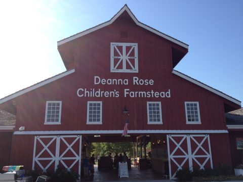 Deanna Rose Children's Farmstead