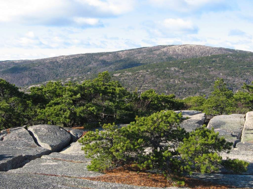 Cadillac Mountain