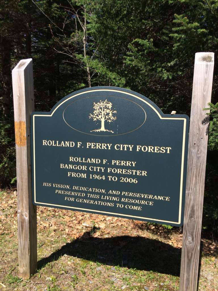 Bangor City Forest