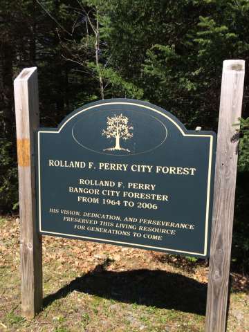 Bangor City Forest