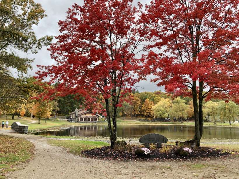 White Park