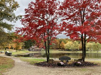 White Park