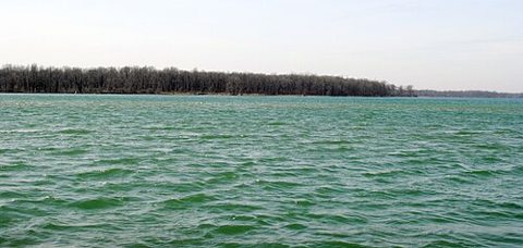 Navy Island