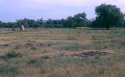 Fort Pierre Chouteau