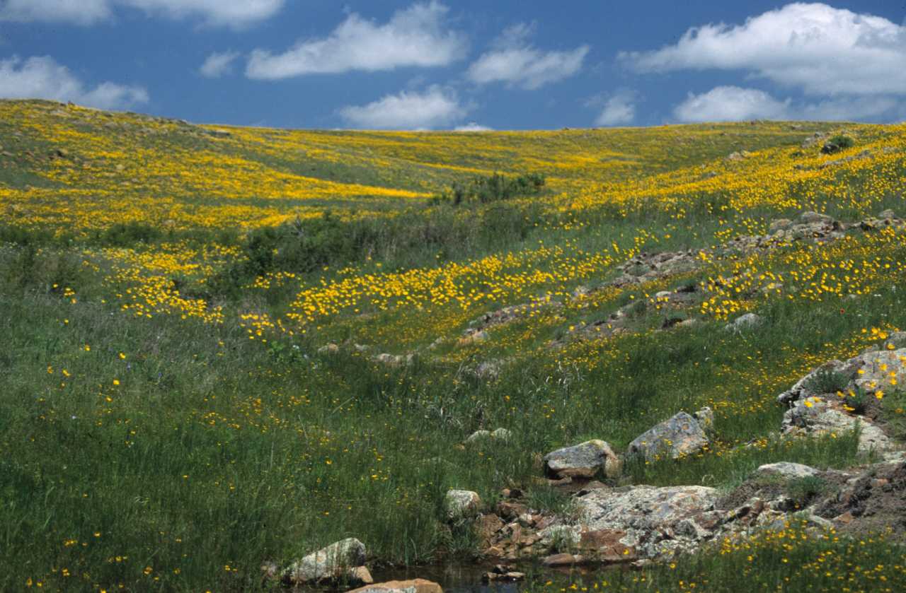 Wichita Mountains Wildlife Refuge