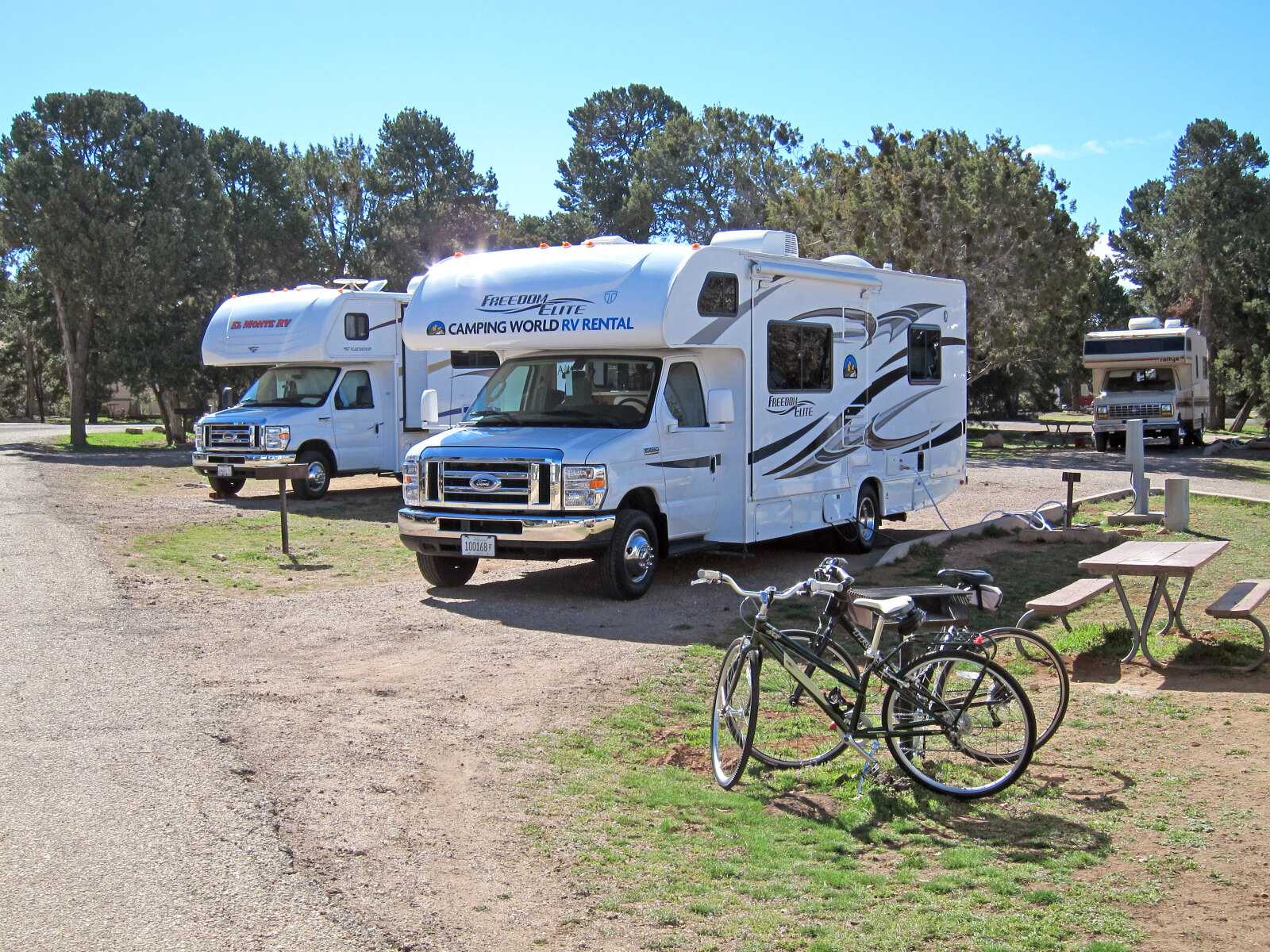 Rental RVs parked between the pines at Trailer Village, Grand Canyon South Rim